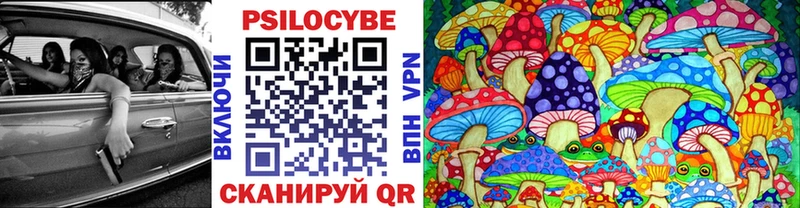 МЕГА сайт Константиновск Псилоцибиновые грибы Psilocybe